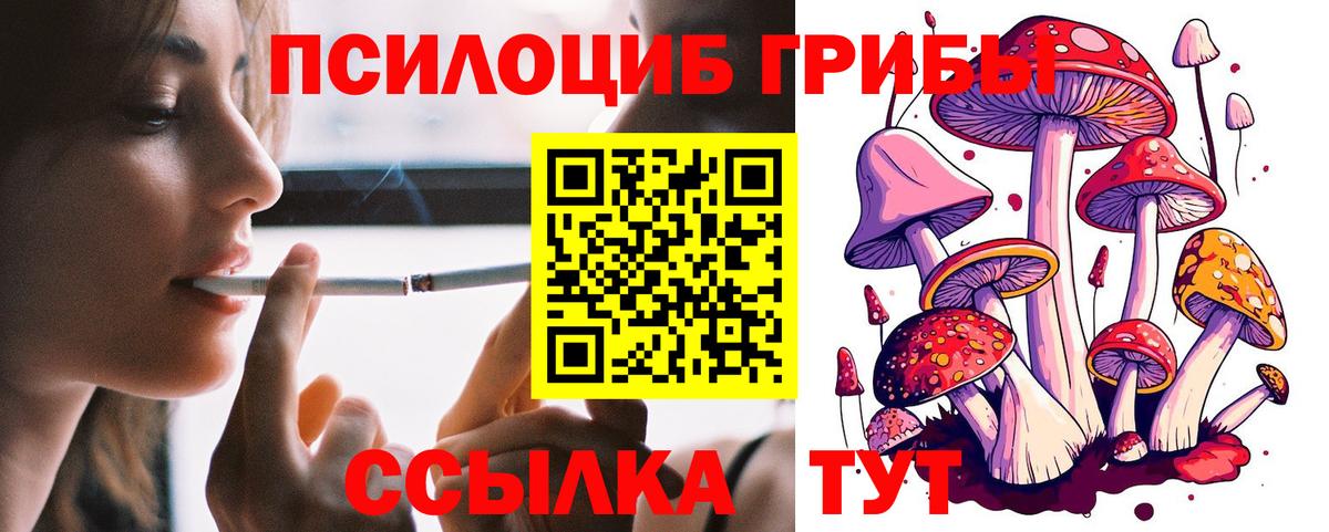 Псилоцибиновые грибы ЛСД Рыбинск